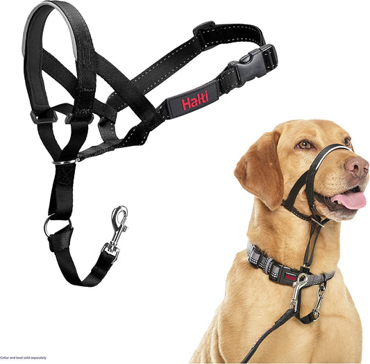 Headcollar - Stop Your Dog Pulling on the Lead. Adjustable, Reflective and Lightweight, with Padded Nose Band. Dog Training Anti-Pull Collar for Medium Dogs (Size 3, Black)